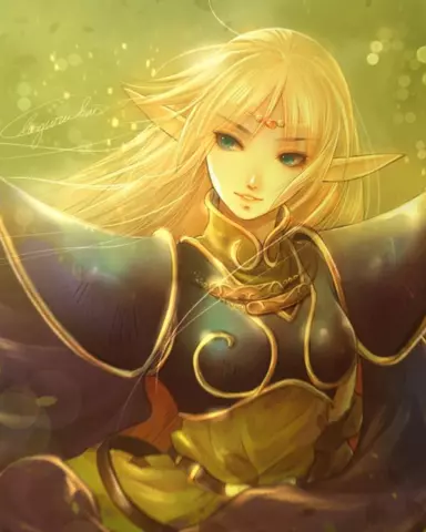 Comprar Record of Lodoss War: Deedlit in Wonder Labyrinth - Estándar - Japón, PS4, PS5, Switch