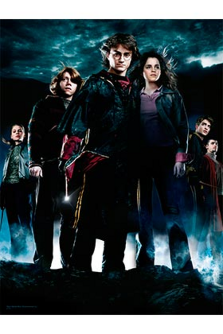 Poster De Vidrio Grupo Hp4 30X40 Harry Potter