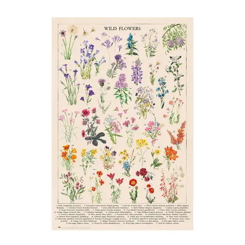 Comprar Poster Wild Flowers 