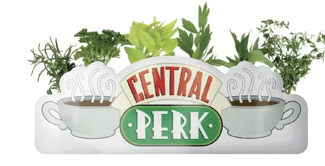 Comprar Macetero De Mesa Friends Central Perk 
