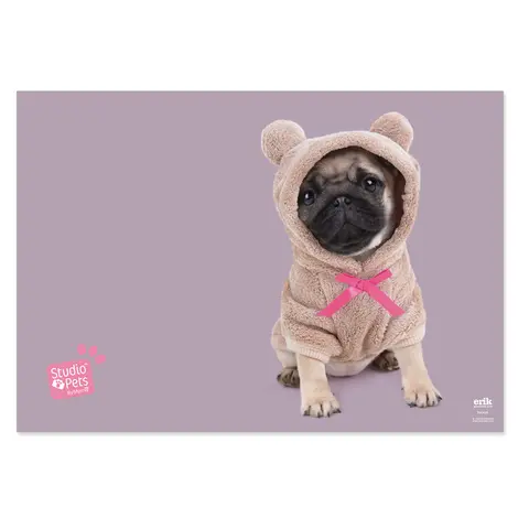 Comprar Vade Escolar Studio Pets Dogs 2019 