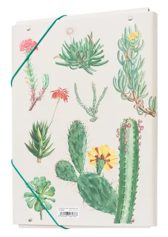 Comprar Carpeta Solapas Botanical Cacti Kokonote 