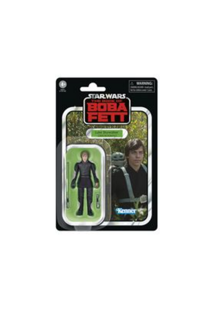Luke Skywalker (Jedy Academy) Fig. 9,5 cm The Book Of Boba Fett Star Wars The Vintage Collection