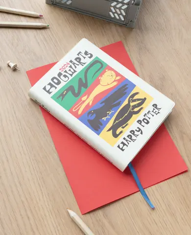 Comprar Agenda Escolar 2023/2024 Semana Vista Pocket 17 Meses Harry Potter 