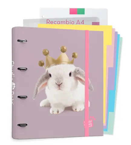 Comprar Carpeblock 4 Anillas Studio Pets Rabbits 2019 