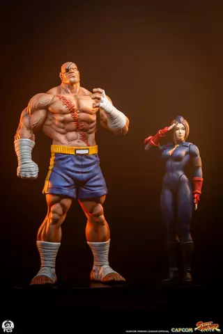 Pack Estatuas Sagat & Julie Street Fighter Street Jam 1/10 Premium Collectibles Studio