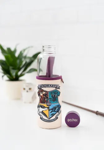 Comprar Botella Cristal Harry Potter 