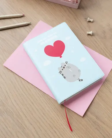 Comprar Agenda Escolar 2023/2024 Semana Vista Pocket 17 Meses Pusheen 