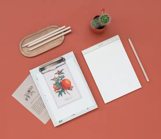 Comprar Carpeta A5 Con Pinza Botanical Cacti Kokonote 