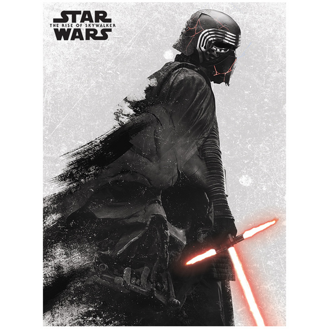 Star wars (episode 9) - lienzo 30x40