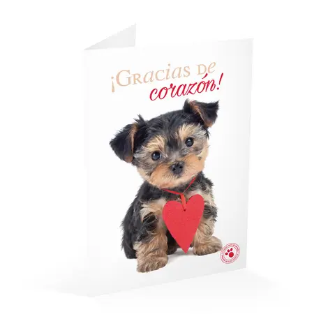 Comprar Tarjeta Felicitacion Studio Pets Gracias De Corazon 