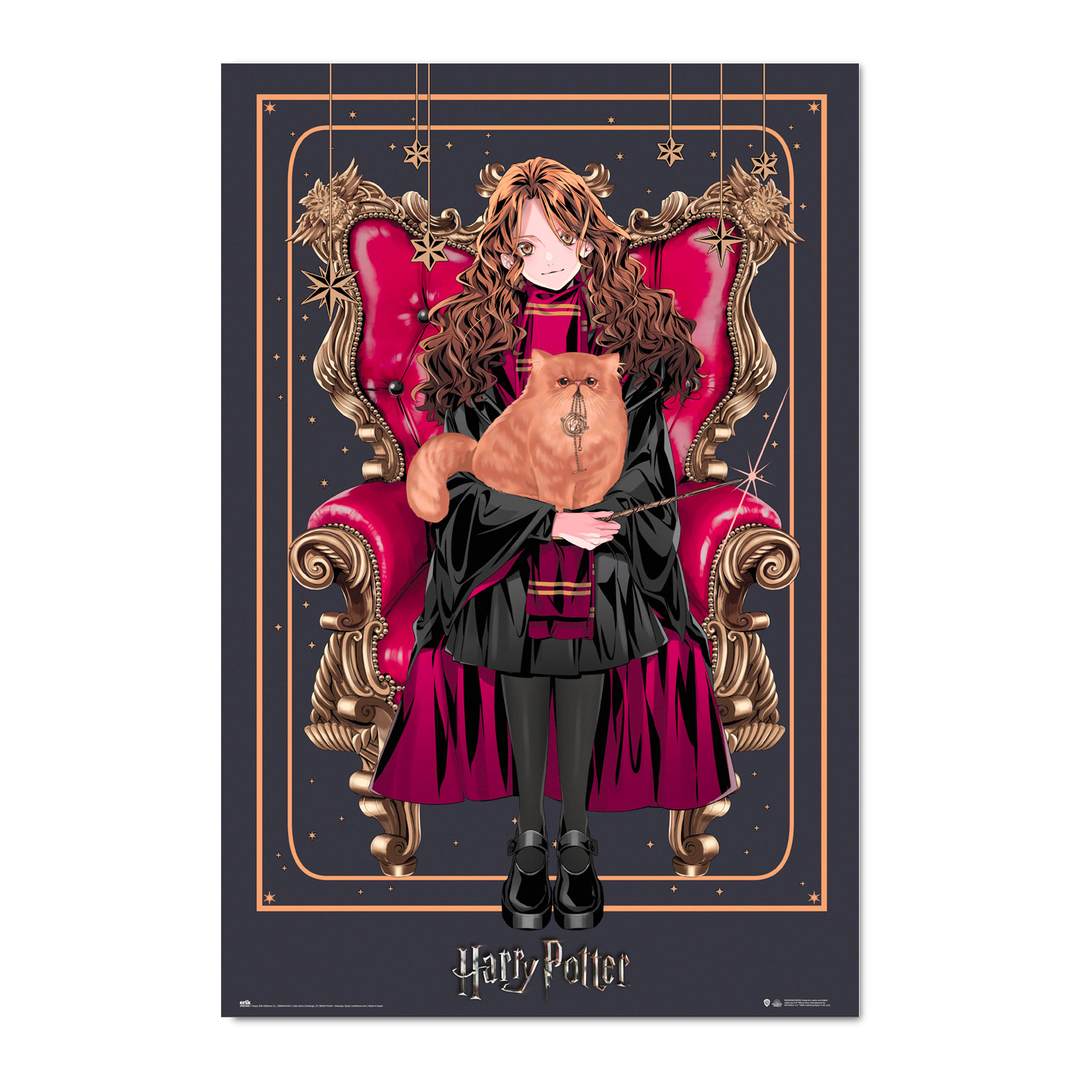 Poster harry potter wizard dynasty hermione granger
