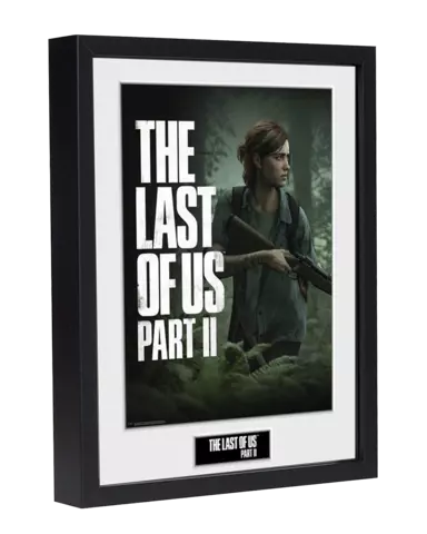Comprar Cuadro The Last of Us: Parte II Ellie Superviviente Cuadro Ellie Superviviente