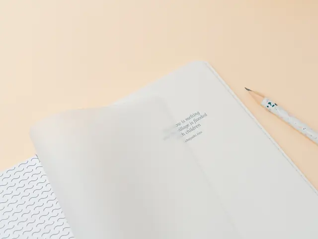 Comprar Pack 2 Cuadernos A5 Miss Haiku 