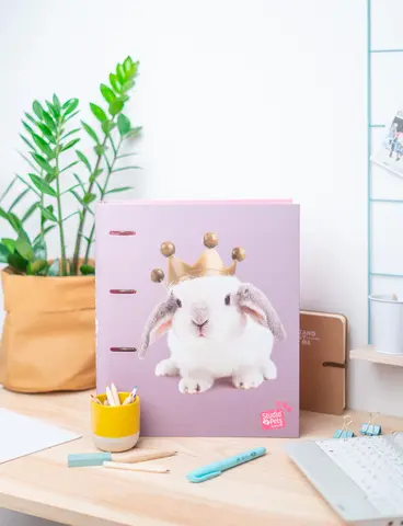 Comprar Carpeblock 4 Anillas Studio Pets Rabbits 2019 