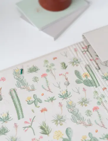 Comprar Carpeta Solapas Botanical Cacti Kokonote 