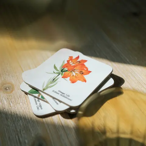 Comprar Set 4 Posavasos Wild Flowers 