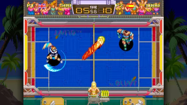 Comprar Windjammers (Limited Run #022) Switch Estándar