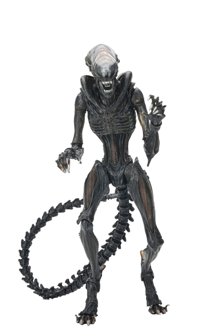 Figura ultimate scorched xenomorph alien: romulus neca