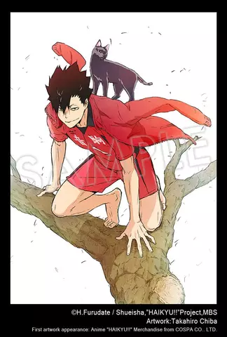 Reservar Figura Tetsuro Kuroo Haikyuu!! 1/8 Kotobukiya Figuras Estándar