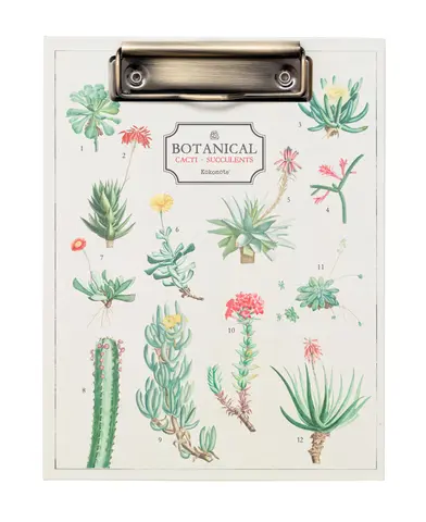 Comprar Carpeta A5 Con Pinza Botanical Cacti Kokonote 