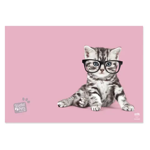 Comprar Vade Escolar Studio Pets Cats 2019 