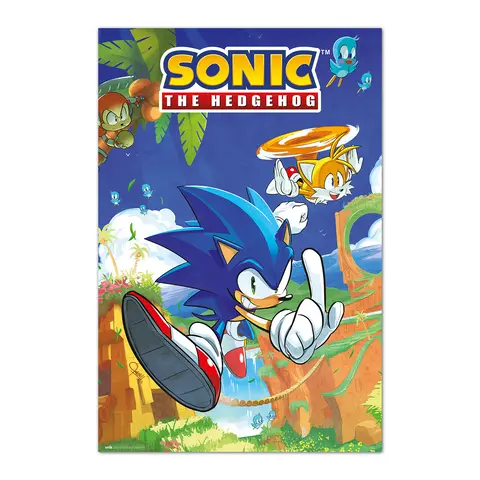Comprar Poster Sonic The Hedgehog - Sonic & Tails 