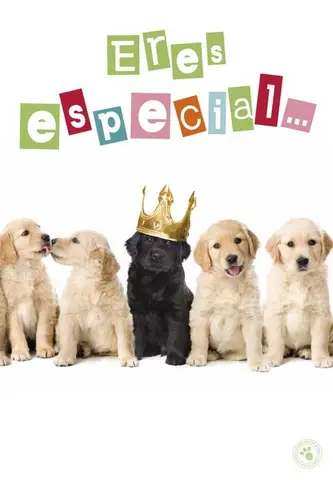 Comprar Tarjeta Felicitacion A4 Eres Especial... Felicidades!! 