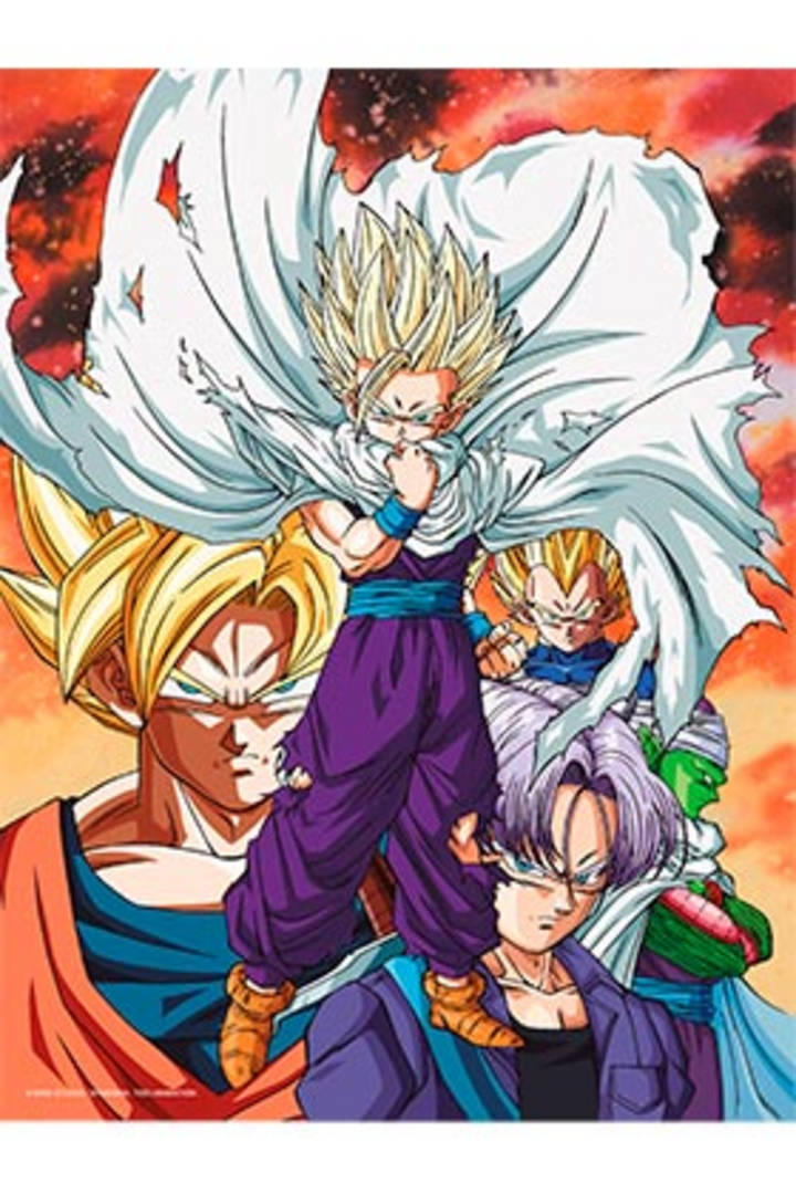 Poster De Vidrio Heroes Vs Cell Dragon Ball Z 30X40 cm