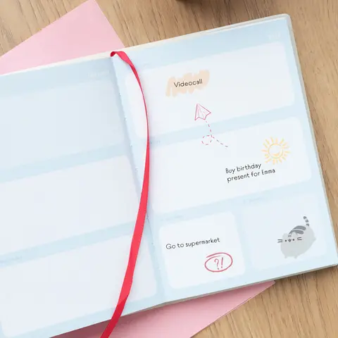Comprar Agenda Escolar 2023/2024 Semana Vista Pocket 17 Meses Pusheen 