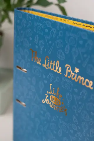 Comprar Carpeta 2 Anillas Premium El Principito 