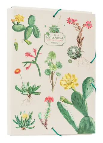Comprar Carpeta Solapas Botanical Cacti Kokonote 