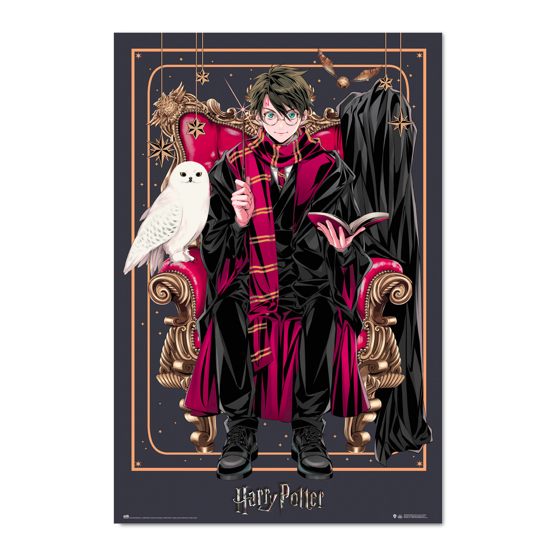 Poster harry potter wizard dynasty harry potter