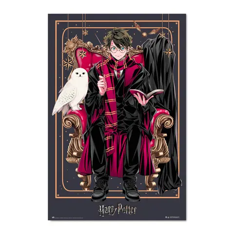 Comprar Poster Harry Potter Wizard Dynasty Harry Potter 
