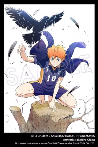 Reservar Figura Shoyo Hinata Haikyuu!! 1/8 Kotobukiya Figuras Estándar