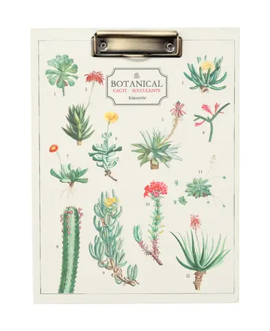 Comprar Carpeta A4 Con Pinza Botanical Cacti Kokonote 