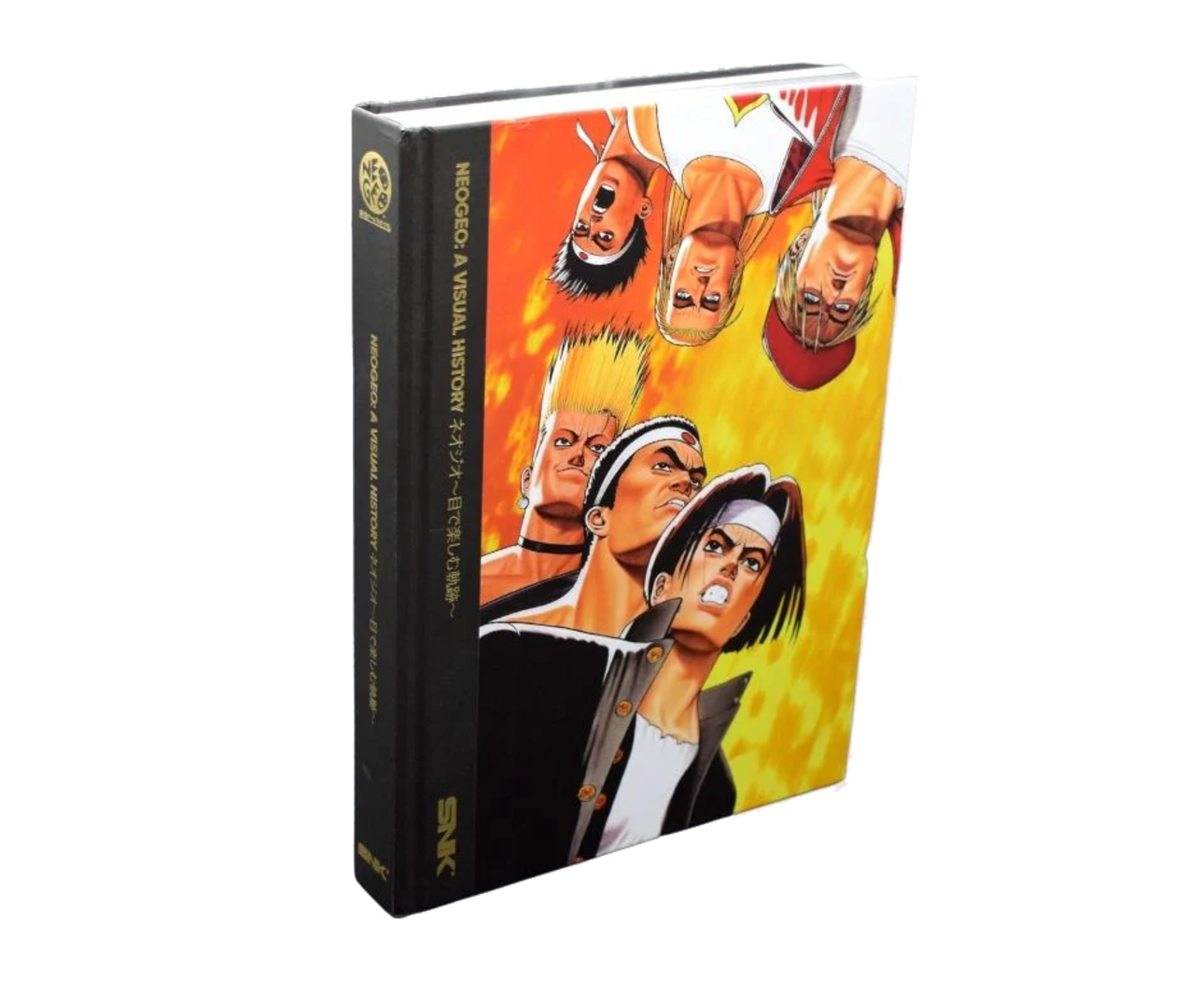Guía neogeo: a visual history