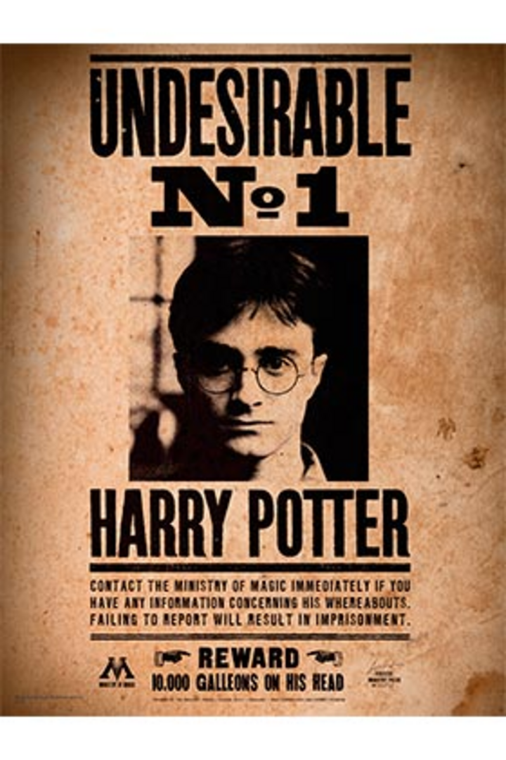 Indeseable Nº1 Poster De Vidrio 30X40 Harry Potter