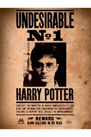 Comprar Indeseable Nº1 Poster De Vidrio 30X40 Harry Potter Estándar