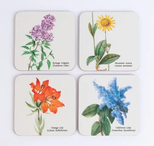 Comprar Set 4 Posavasos Wild Flowers 