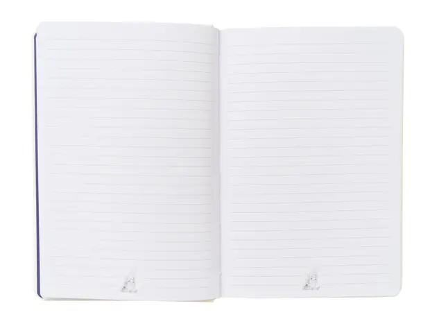 Comprar Cuaderno Premium A5 Asterix Y Obelix 