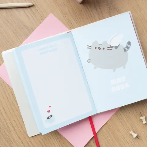 Comprar Agenda Escolar 2023/2024 Semana Vista Pocket 17 Meses Pusheen 