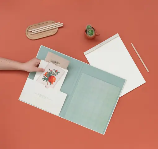 Comprar Carpeta A4 Con Pinza Botanical Cacti Kokonote 