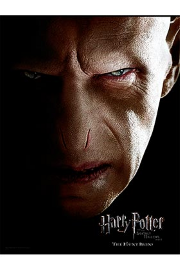 Poster de vidrio cara voldemort 30x40 harry potter