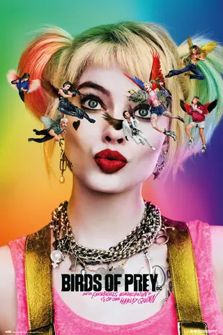 Comprar Poster Birds Of Prey Dazed And Confused 