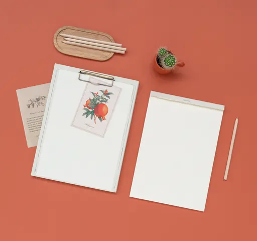 Comprar Carpeta A4 Con Pinza Botanical Cacti Kokonote 