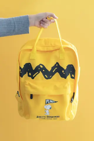 Comprar Mochila Everyday Snoopy 