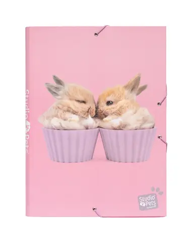 Comprar Carpeta Solapas Studio Pets Rabbits 2019 
