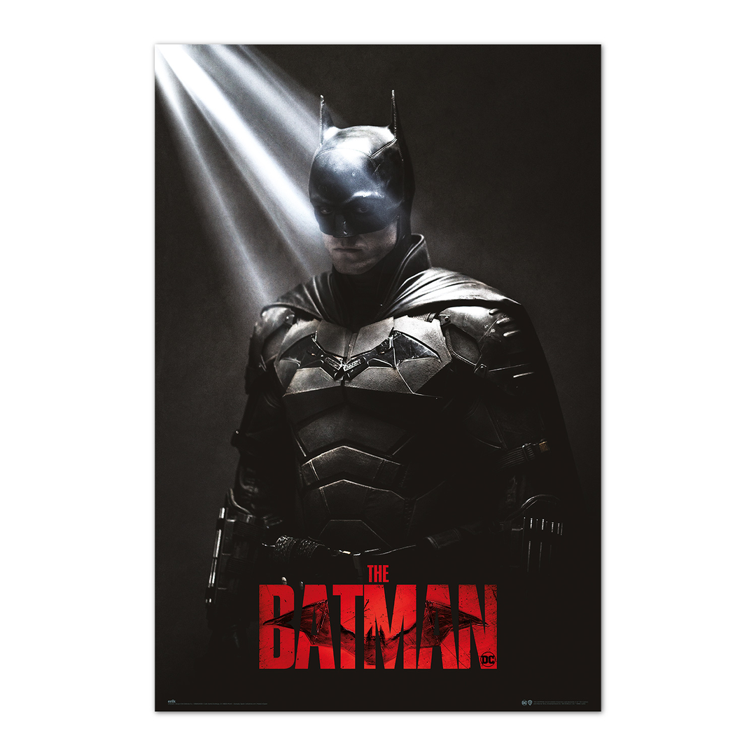 Poster dc the batman i am the shadows