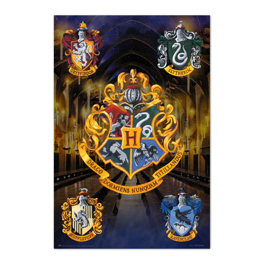 Grupo Erik Poster Harry Potter Hogwarts - Laminas decorativas 61x91,5cm a todo color | Posters para pared : Decoración habitación - Harry Potter Regalos Merchandising
